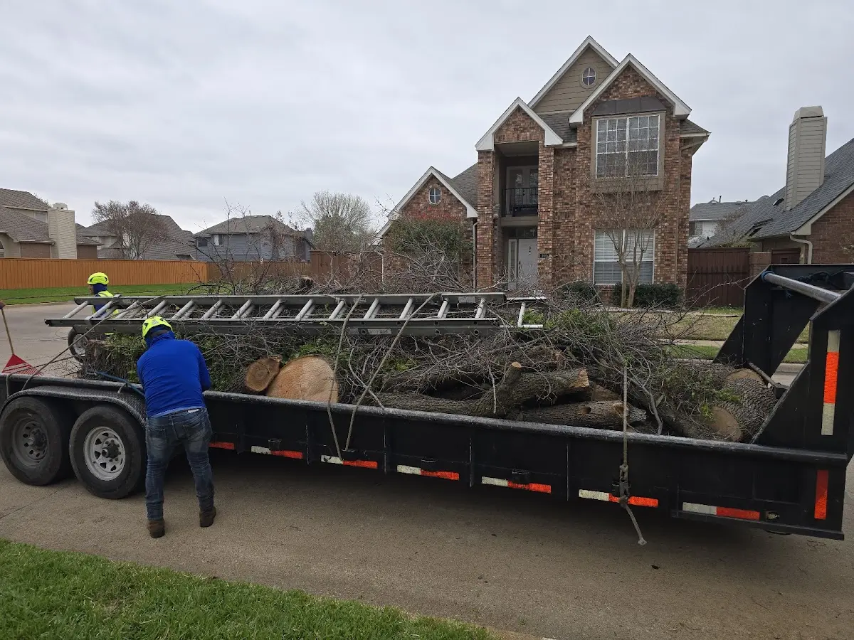Expert Tree Fertilization with proper safety equipment in Philo